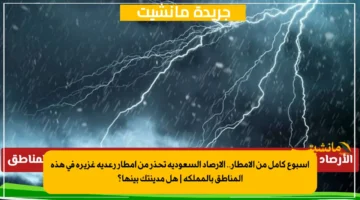 أسبوع كامل من الأمطار.. الأرصاد السعودية تحذر من أمطار رعدية غزيرة في هذه المناطق بالمملكة هل مدينتك بينها؟ 1